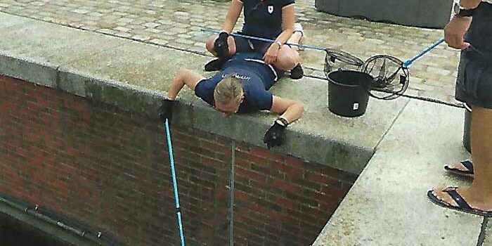 Müllfischen in Bremerhaven