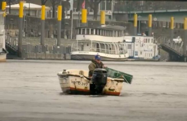 fischen-in-der-weser
